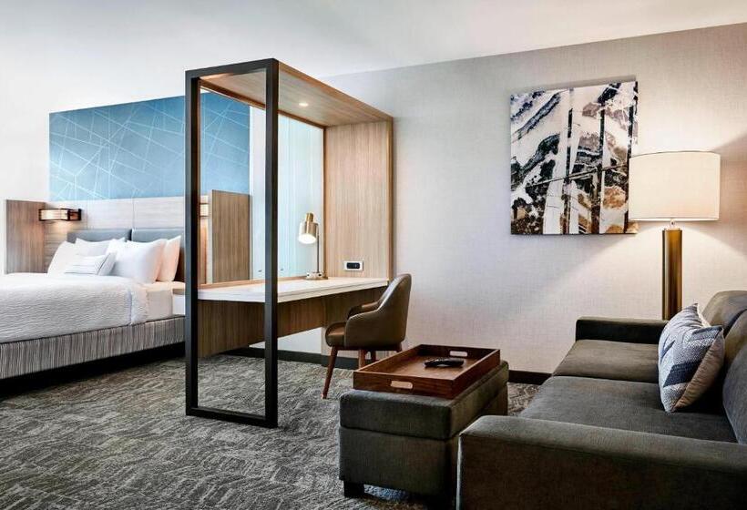 Fotos del hotel Springhill Suites By Marriott Atlanta Northwest:  13