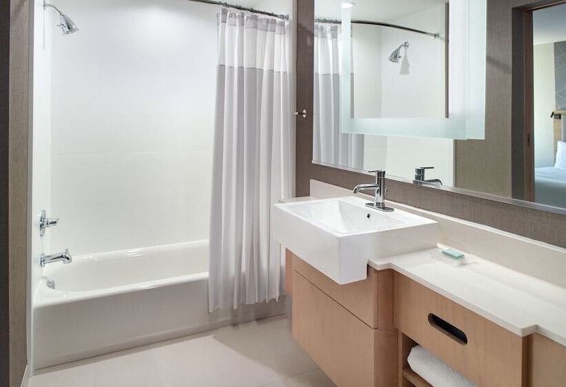 Fotos del hotel Springhill Suites By Marriott Atlanta Northwest:  17