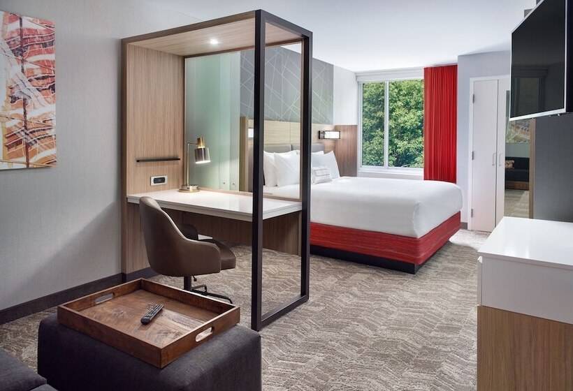 Fotos del hotel Springhill Suites By Marriott Atlanta Northwest:  16