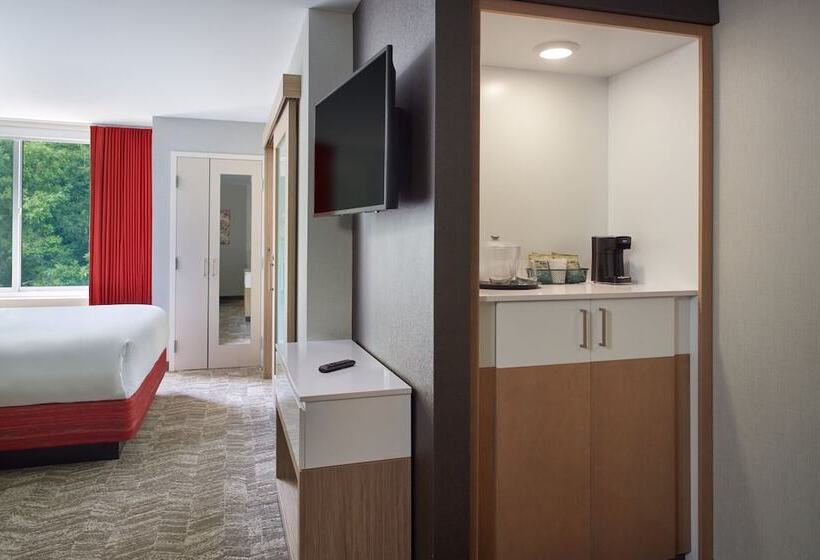 Fotos del hotel Springhill Suites By Marriott Atlanta Northwest:  11