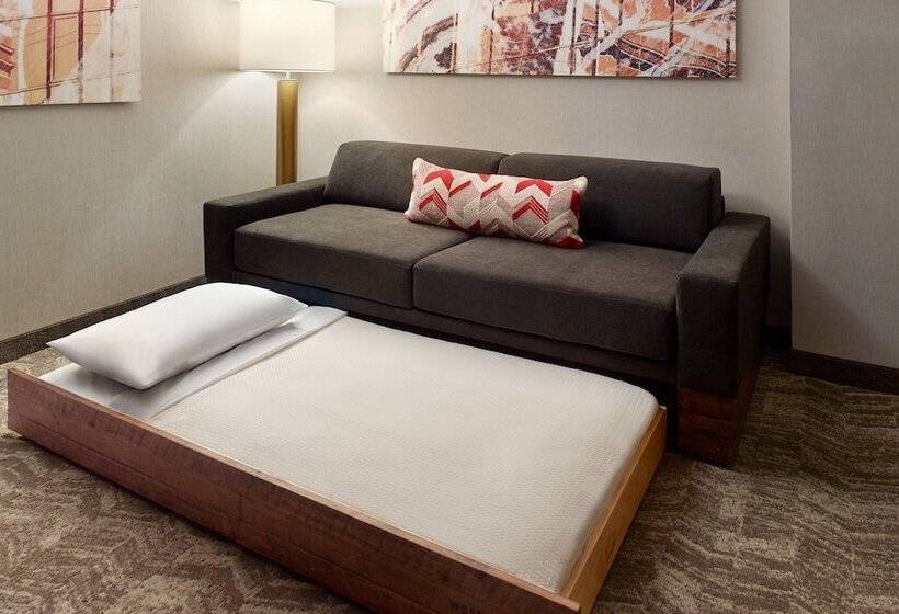 Fotos del hotel Springhill Suites By Marriott Atlanta Northwest:  6