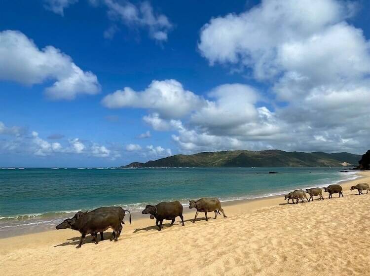 Fotos del hotel Pullman Lombok Mandalika Beach Resort:  14