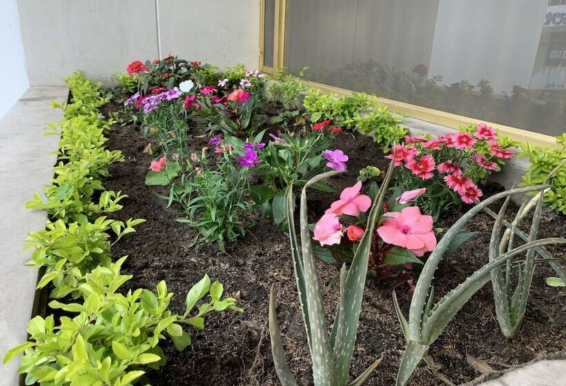 Fotos del hotel Psh Pasajero Suites Corferias:  6