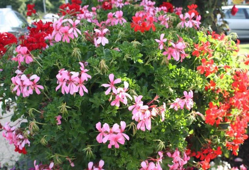 Fotos del hotel Cillcearn:  4