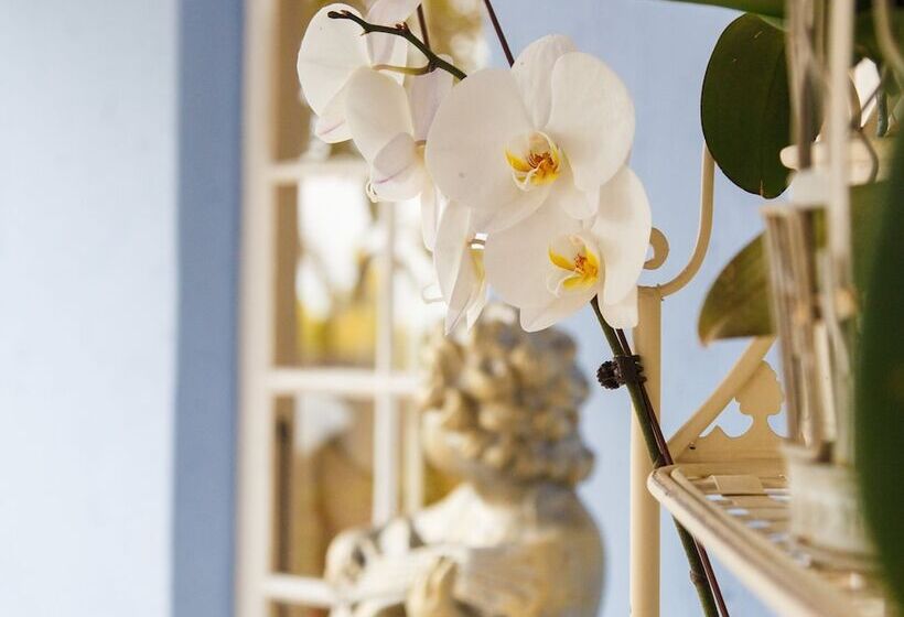 Fotos del hotel The Angels Place Boutique Guest House:  10