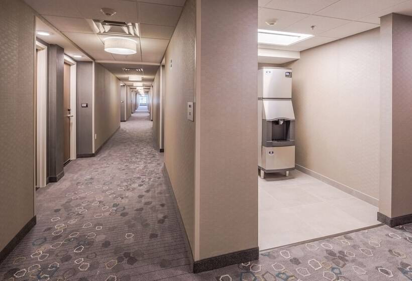 Fotos del hotel Courtyard By Marriott Chihuahua:  8