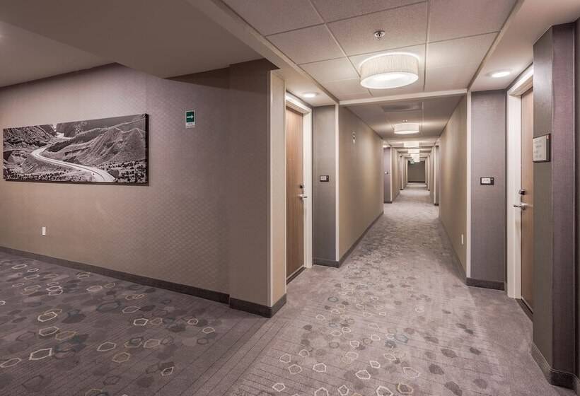 Fotos del hotel Courtyard By Marriott Chihuahua:  3