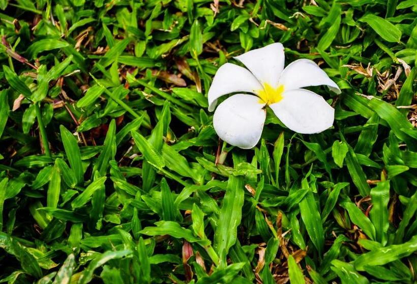 Fotos del hotel Chomphu Resort Khaolak:  13