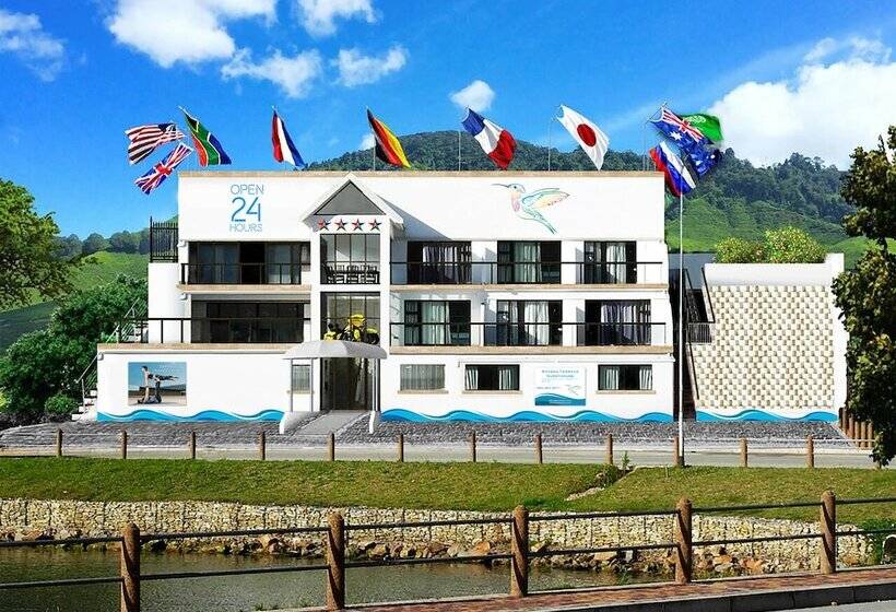 Knysna Terrace Guesthouse