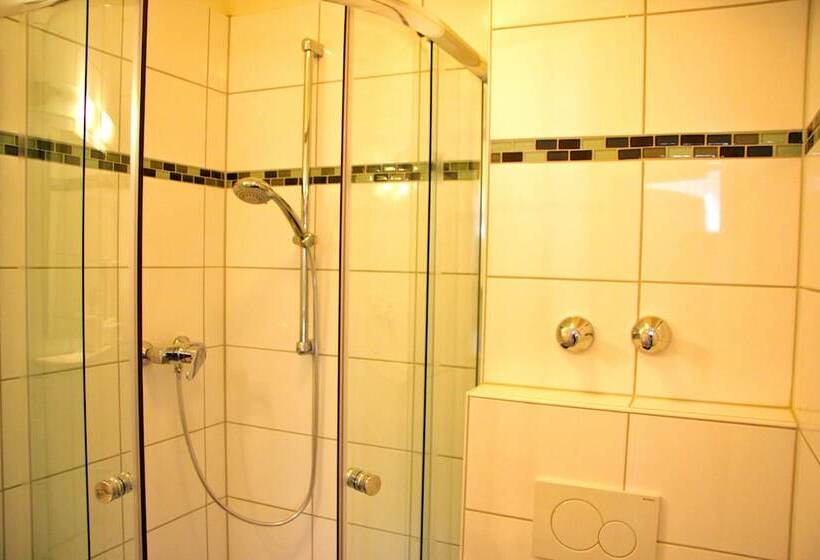 Fotos del hotel Gemini:  12