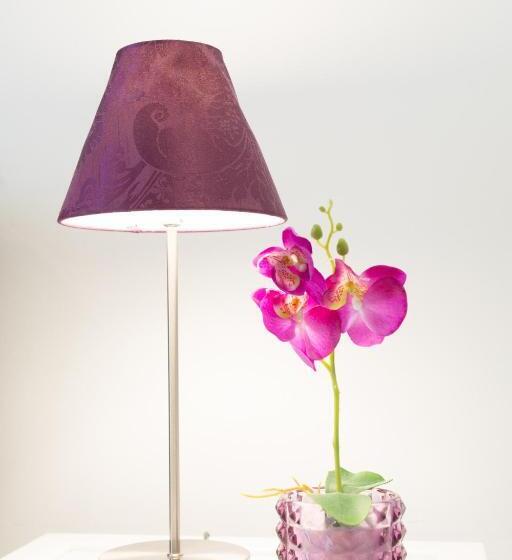 Fotos del hotel Helvetia Suites:  12