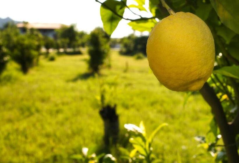 Fotos del hotel Agriturismo Terrenia:  3