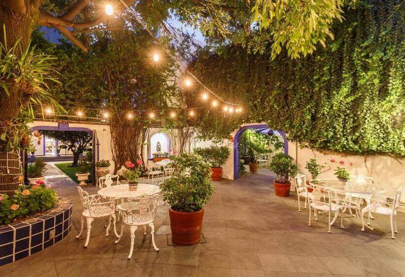 Fotos del hotel Casa Gonzalez:  6