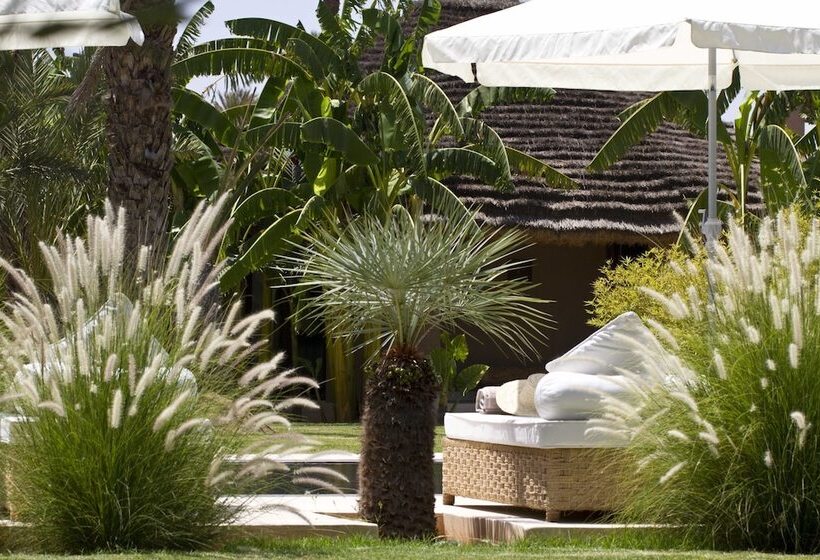 Fotos del hotel Les 5 Djellabas:  18