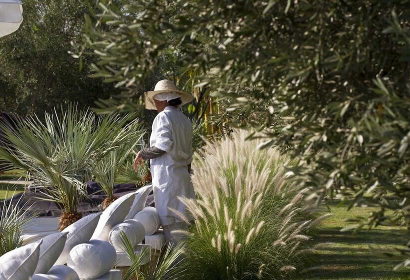 Fotos del hotel Les 5 Djellabas:  6