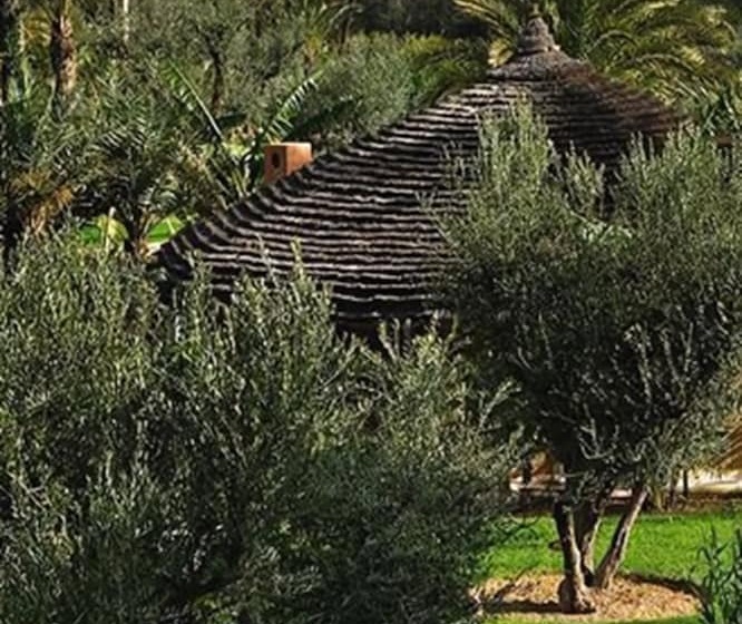 Fotos del hotel Les 5 Djellabas:  10