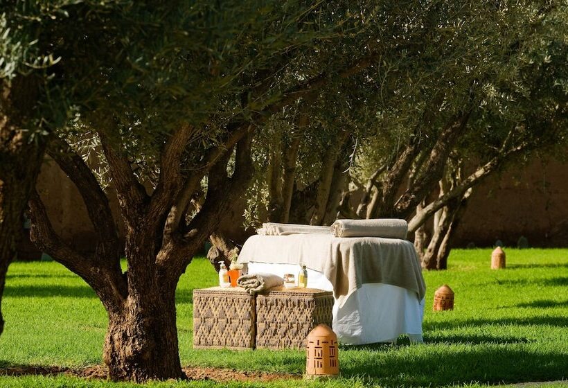 Fotos del hotel Les 5 Djellabas:  9