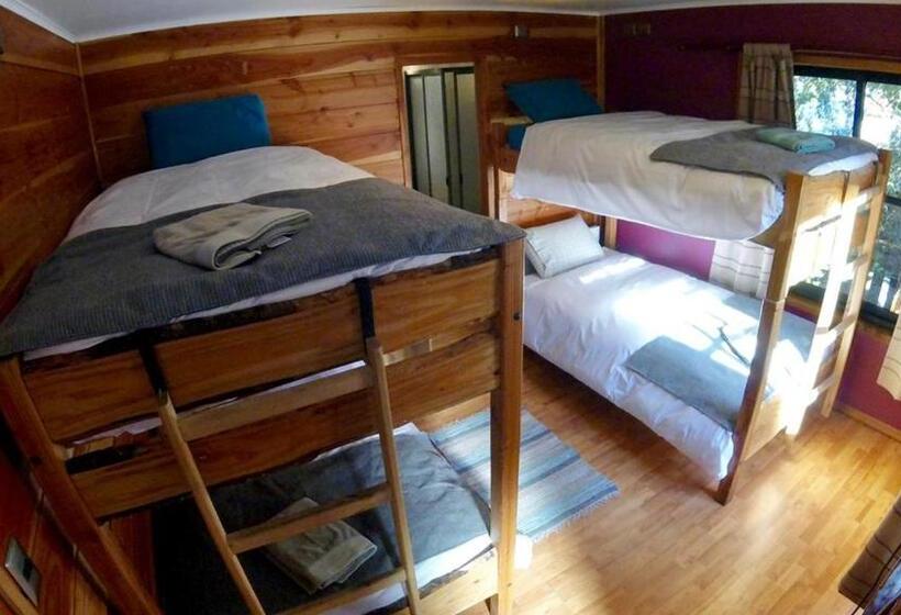 Fotos del hotel Hostal Andes Pucon:  8