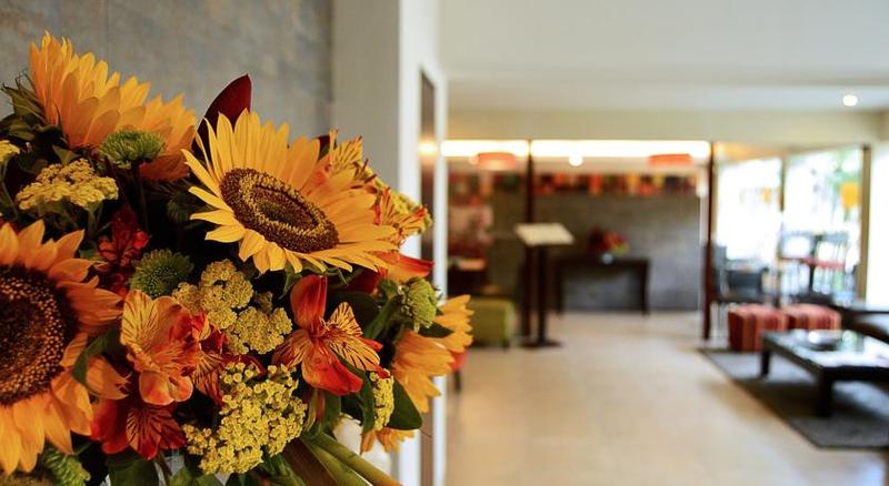 Fotos del hotel Girasoles:  15