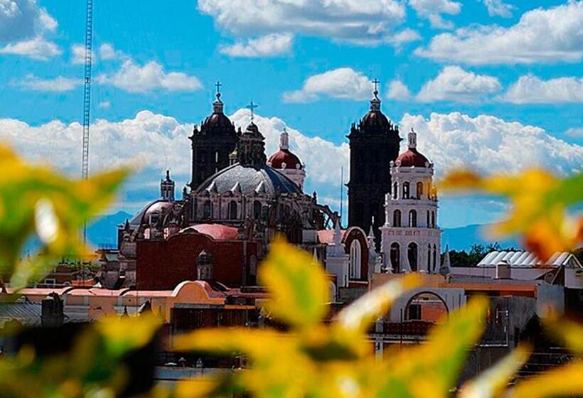 Fotos del hotel Ikonik  Puebla:  9