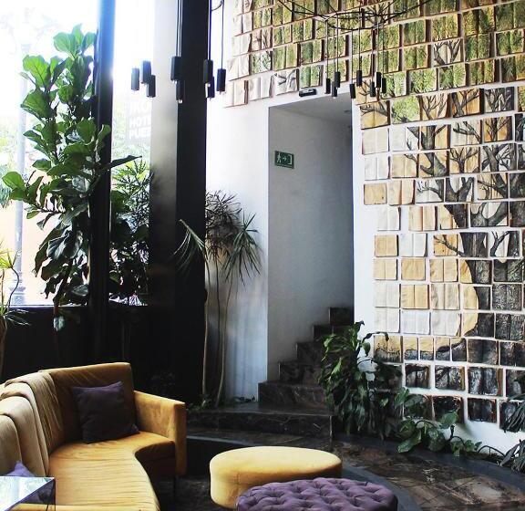 Fotos del hotel Ikonik  Puebla:  7