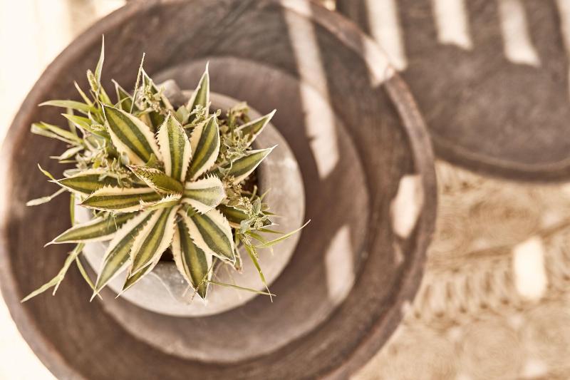 Fotos del hotel Naxian On The Beach:  3