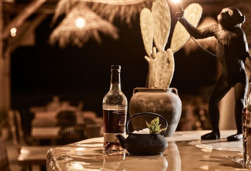 Fotos del hotel Naxian On The Beach:  21