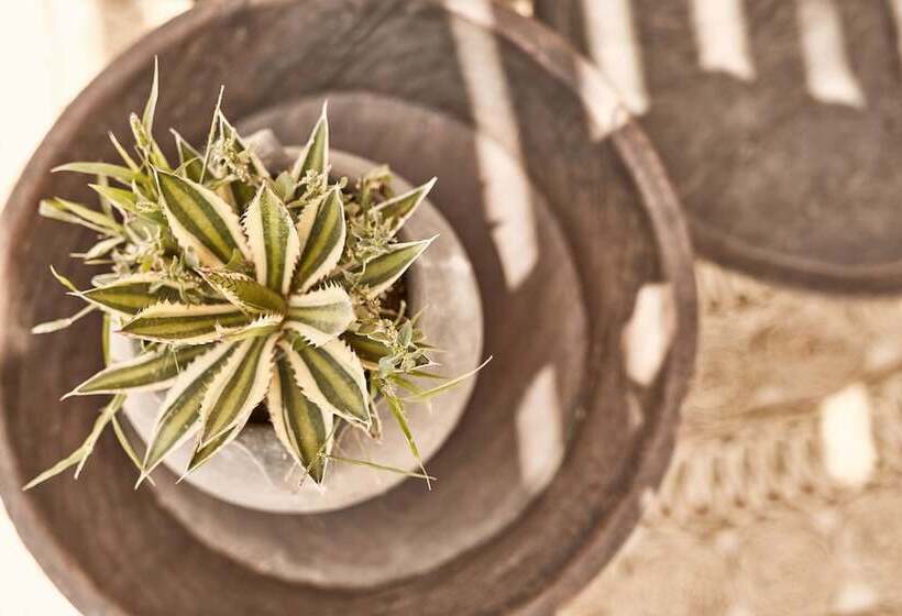 Fotos del hotel Naxian On The Beach:  7