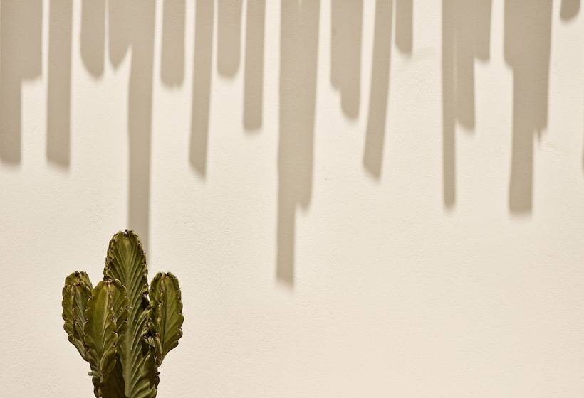 Fotos del hotel Naxian On The Beach:  10