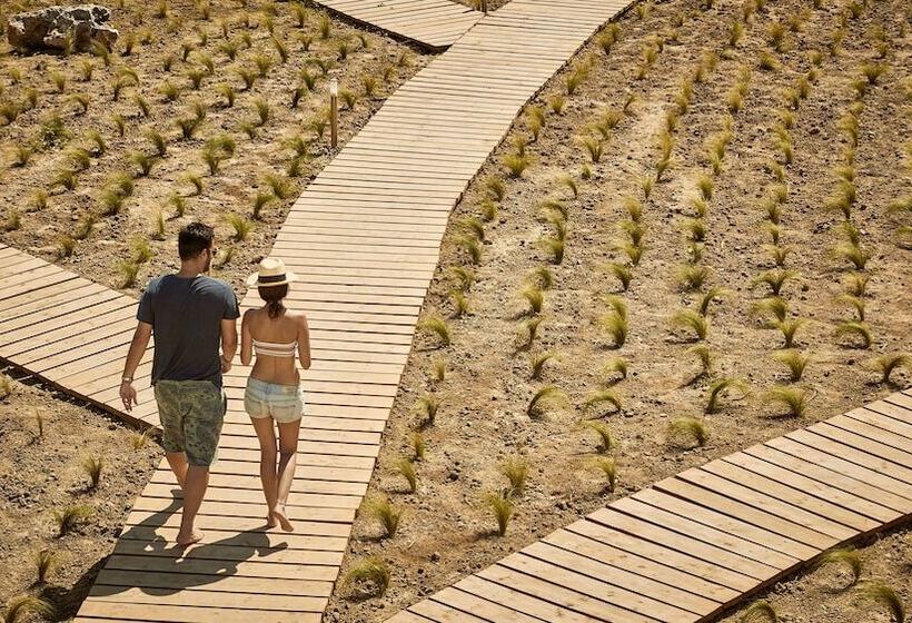 Fotos del hotel Naxian On The Beach:  25