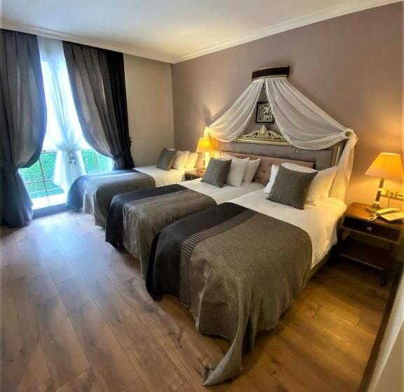 Fotos del hotel Saint John:  25