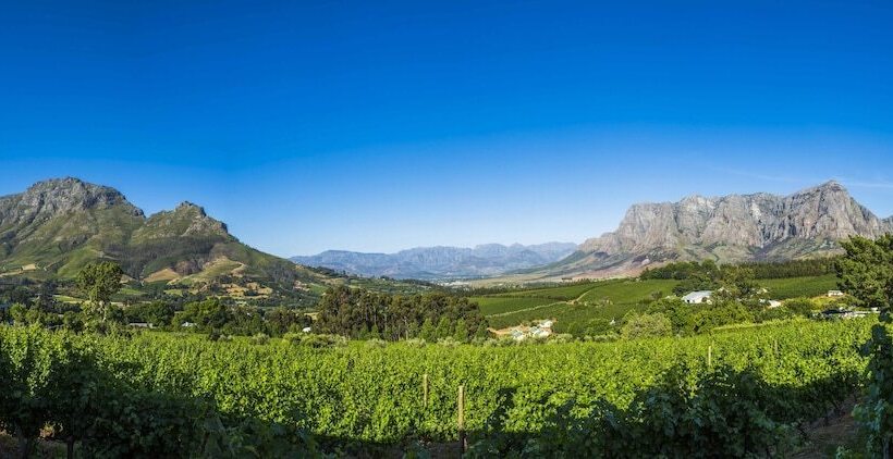 Fotos del hotel Clouds Estate:  3