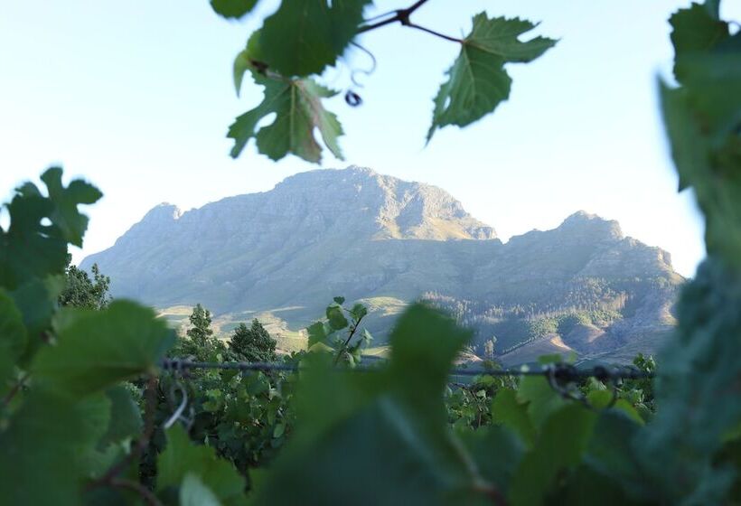 Fotos del hotel Clouds Estate:  7