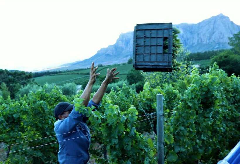 Fotos del hotel Clouds Estate:  2