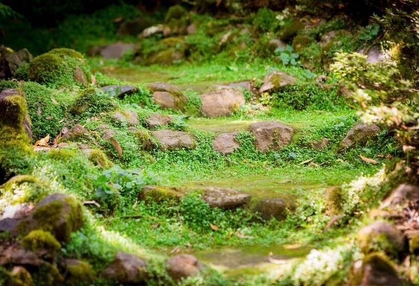 Fotos del hotel Como Cottage Accommodation:  5