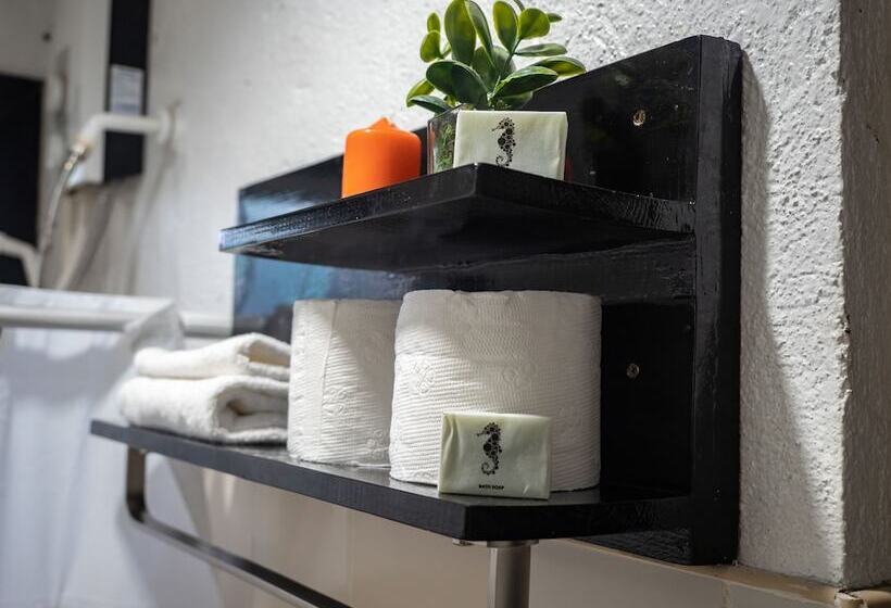 Fotos del hotel Hippocampus:  18