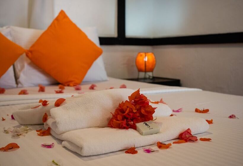 Fotos del hotel Hippocampus:  22