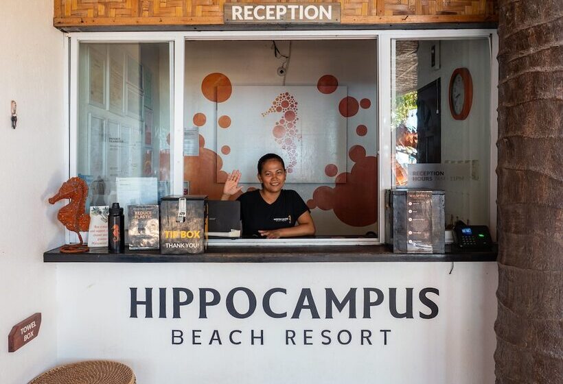 Fotos del hotel Hippocampus:  19