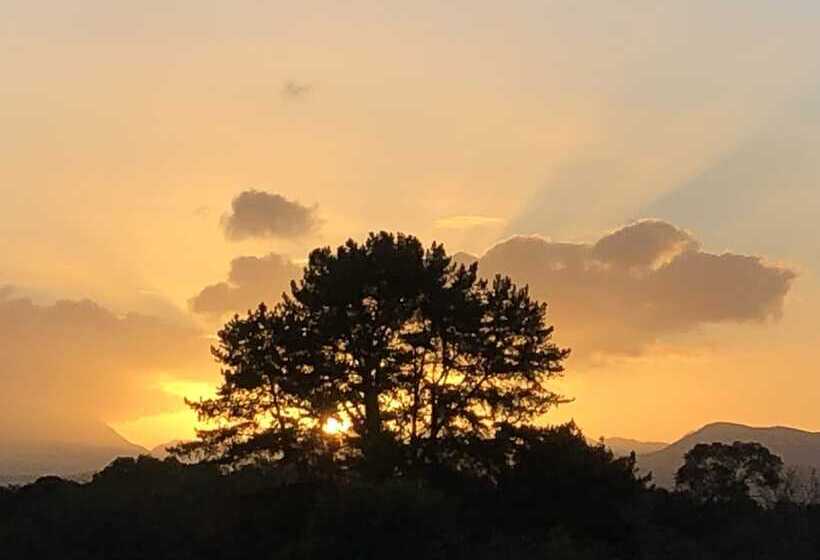 Fotos del hotel Teniqua Treetops:  19