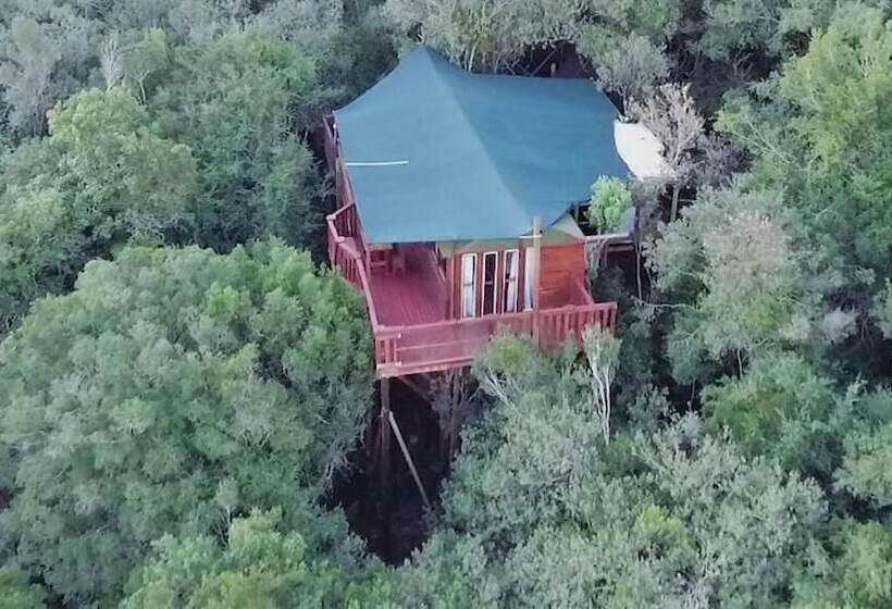 Fotos del hotel Teniqua Treetops:  14