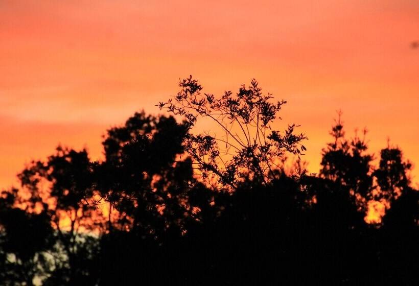 Fotos del hotel Teniqua Treetops:  5