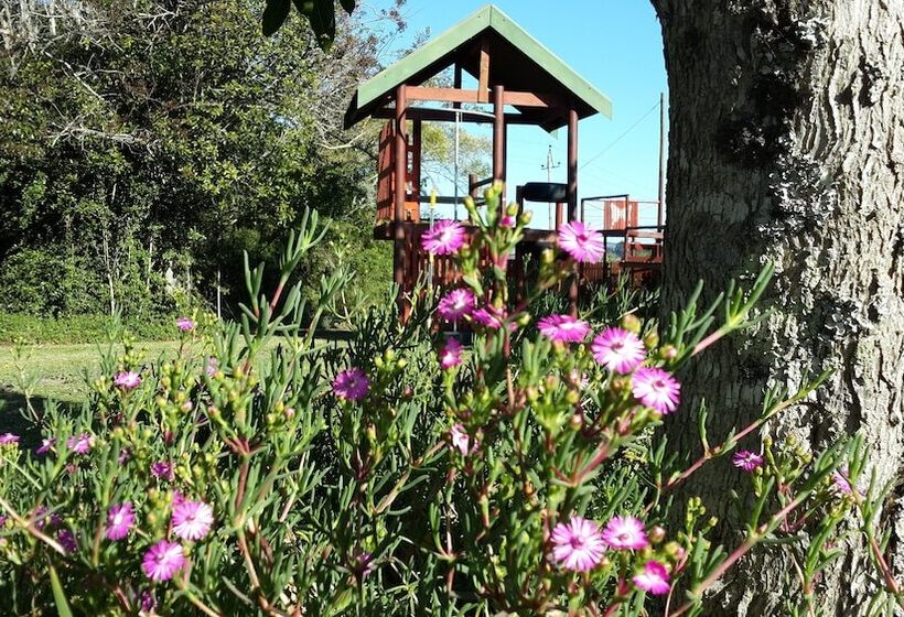 Fotos del hotel Teniqua Treetops:  24