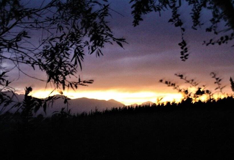 Fotos del hotel Teniqua Treetops:  22