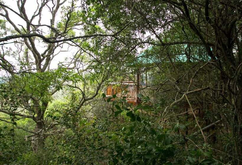 Fotos del hotel Teniqua Treetops:  25