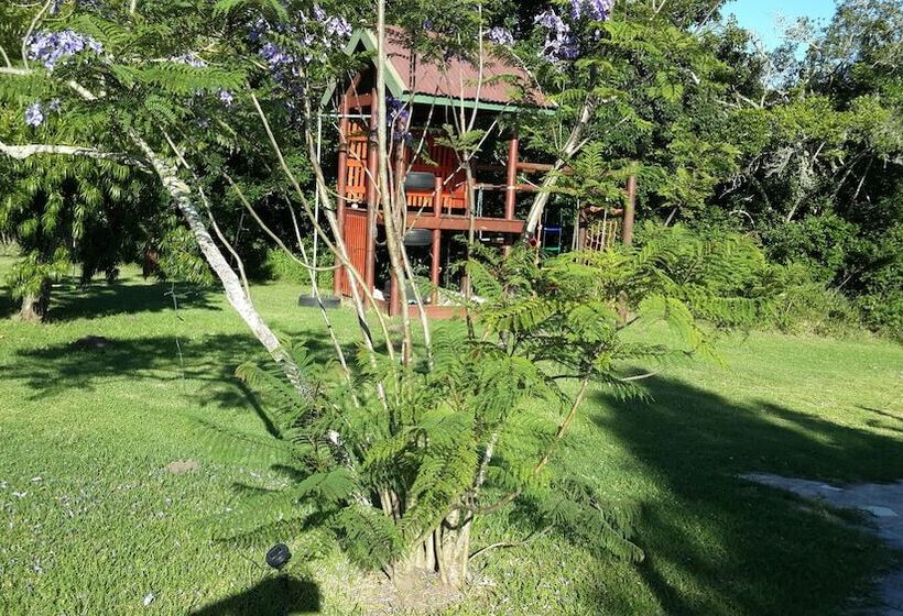 Fotos del hotel Teniqua Treetops:  16