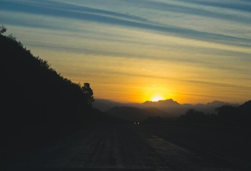 Fotos del hotel Teniqua Treetops:  15