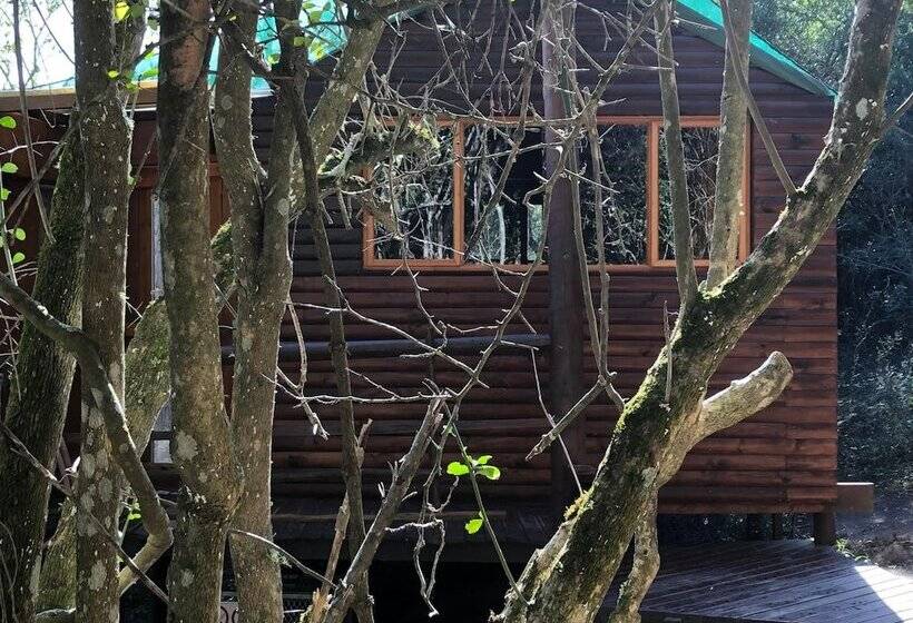 Fotos del hotel Teniqua Treetops:  8