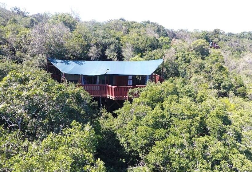 Fotos del hotel Teniqua Treetops:  17