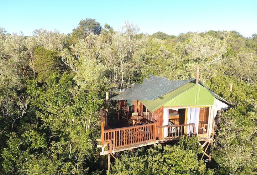 Fotos del hotel Teniqua Treetops:  11