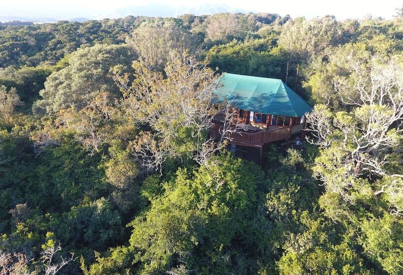 Fotos del hotel Teniqua Treetops:  9